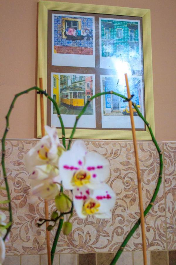 Bb Downtown Apartment Bajina Basta Ngoại thất bức ảnh